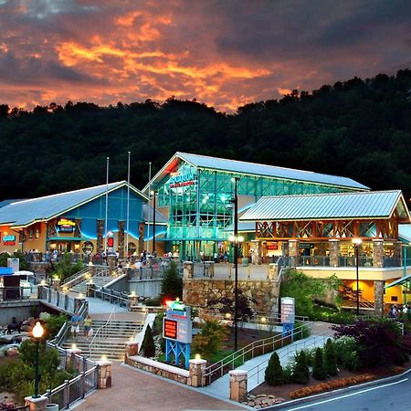 The Solstice - Amenities Galore Mountain Retreat Gatlinburg Bagian luar foto